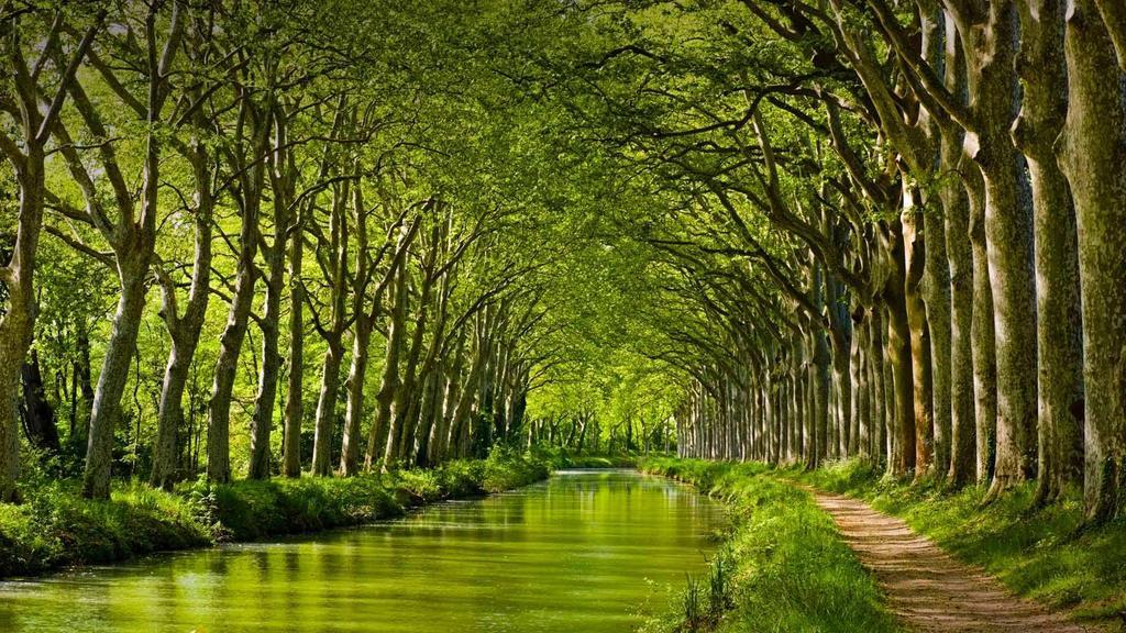 Gite La Chartreuse Du Canal Du Midi Toulouse Kültér fotó